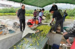 <b>包华摄若何沉睡资本</b>