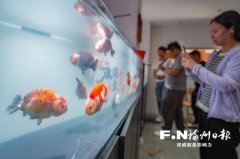 已成为永泰农人手中的“新耕具