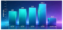 <b>中国2025年规模无望突亿元</b>